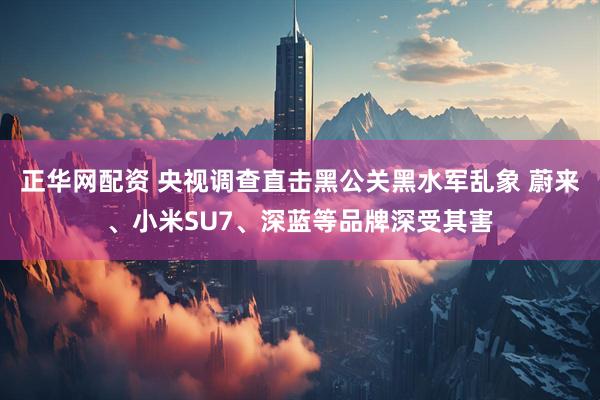 正华网配资 央视调查直击黑公关黑水军乱象 蔚来、小米SU7、深蓝等品牌深受其害